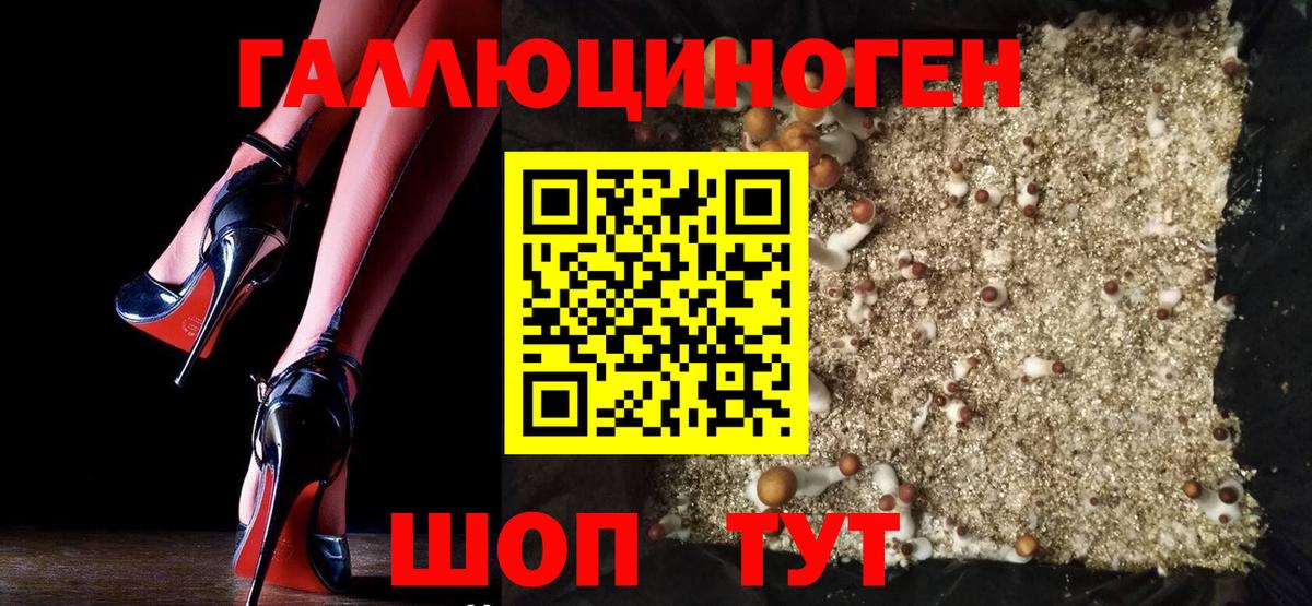 Сертолово  Галлюциногенные грибы Magic Shrooms  Вход с VPN 
